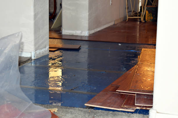 Professional Basement Flood Cleanup technician working in Kingston, OH